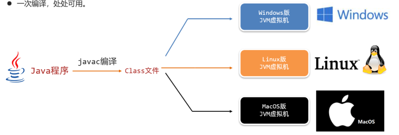 image-20250509113054832