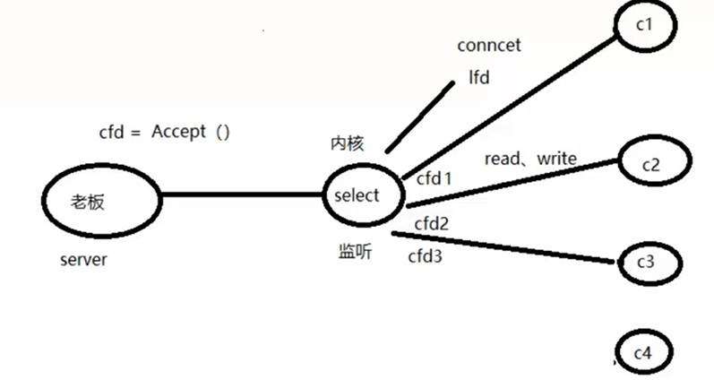 image-20241212192051846