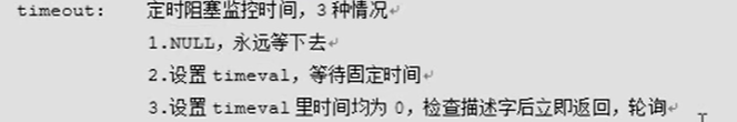 image-20241212194932191