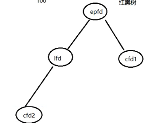 image-20241213082846695