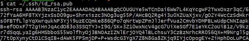 image-20250317195927038