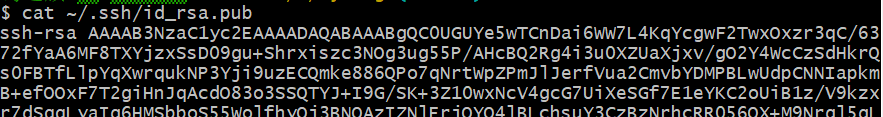 image-20250329211520872