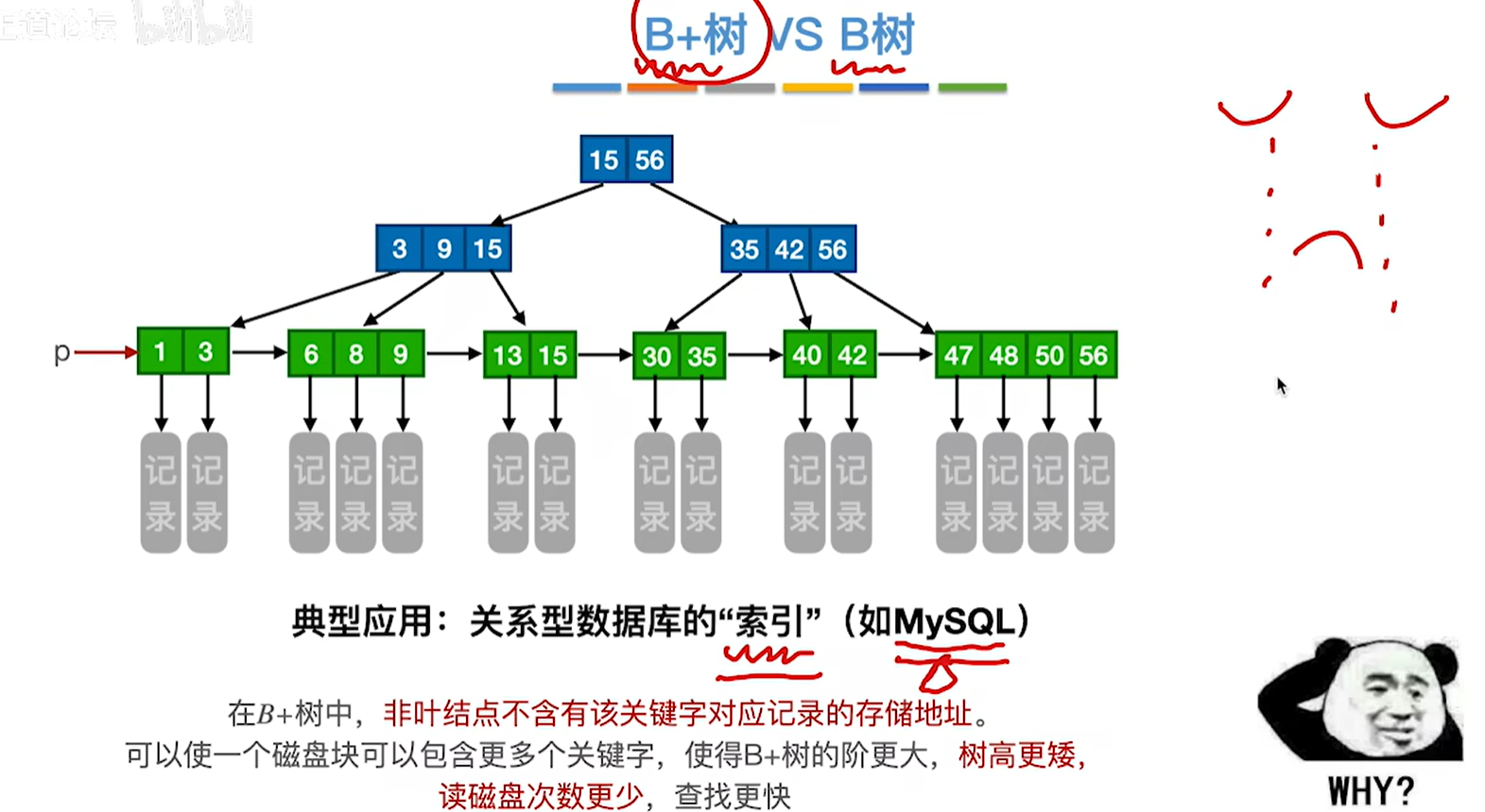 image-20250423102552877