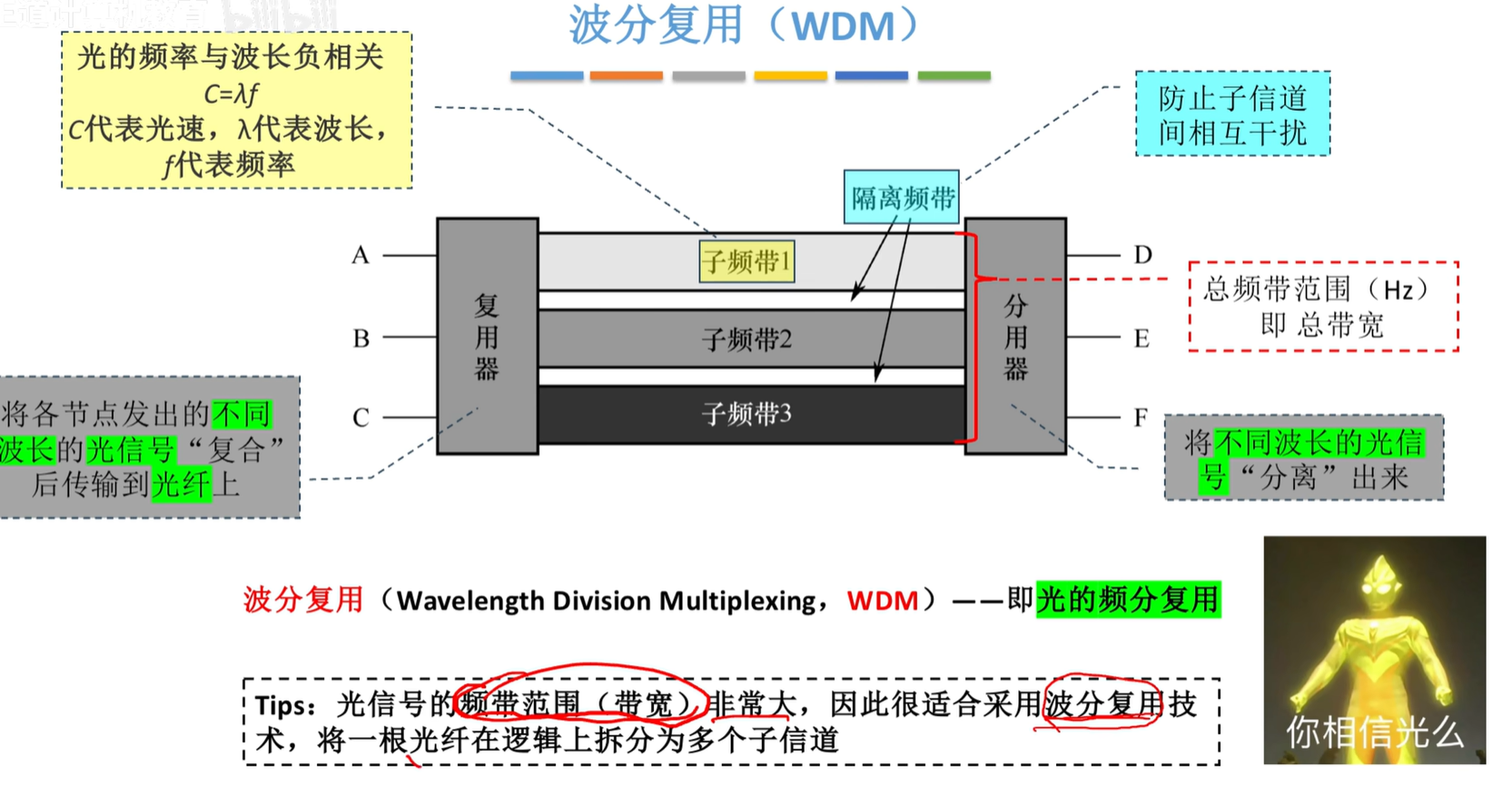 image-20250501191620651