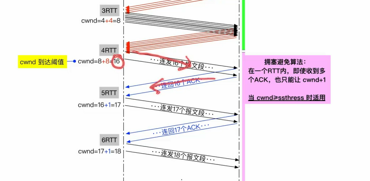 image-20250527110144827