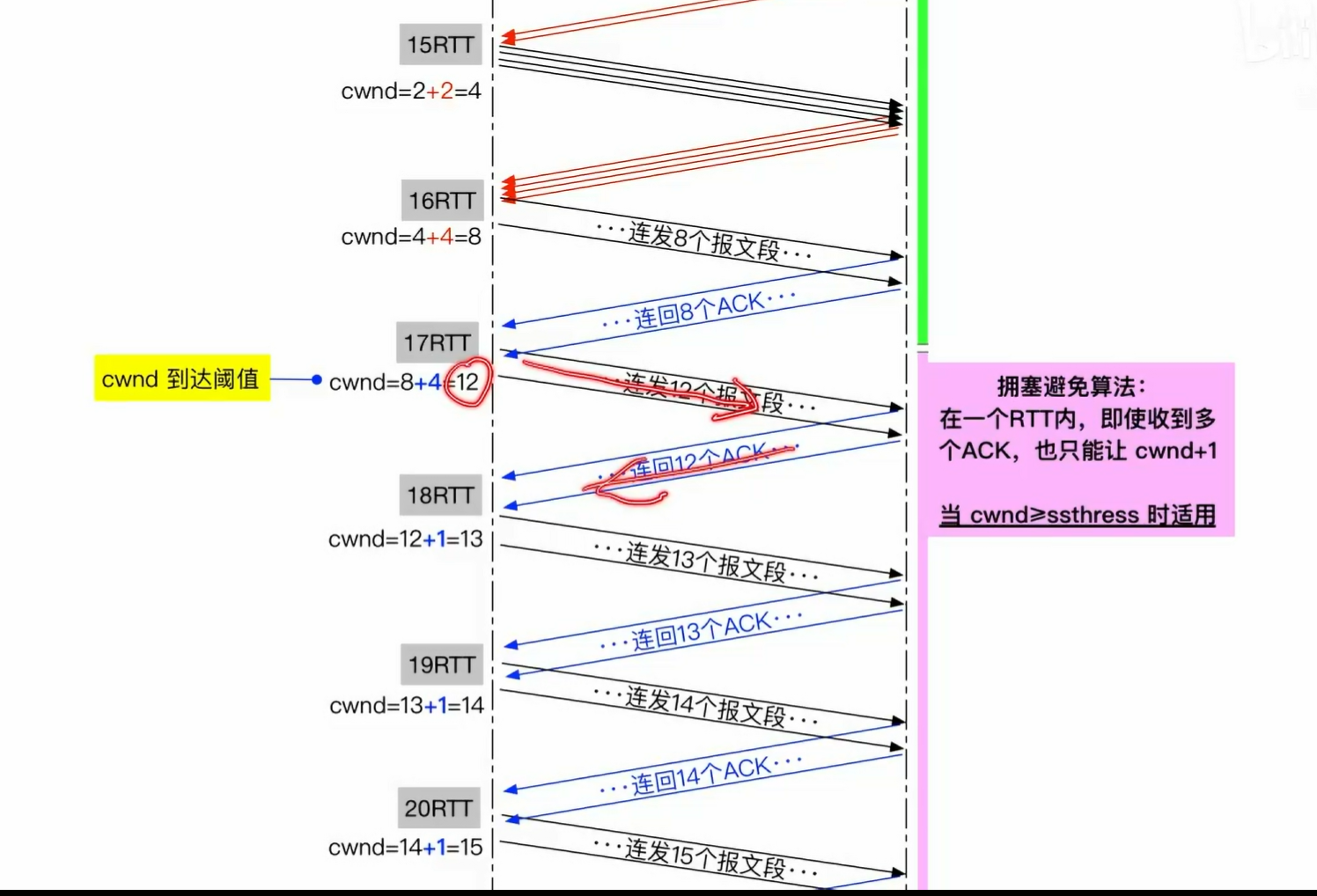 image-20250527110628138
