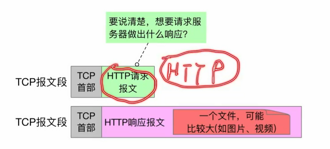 image-20250529151639726