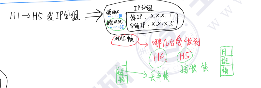 image-20251013185610964