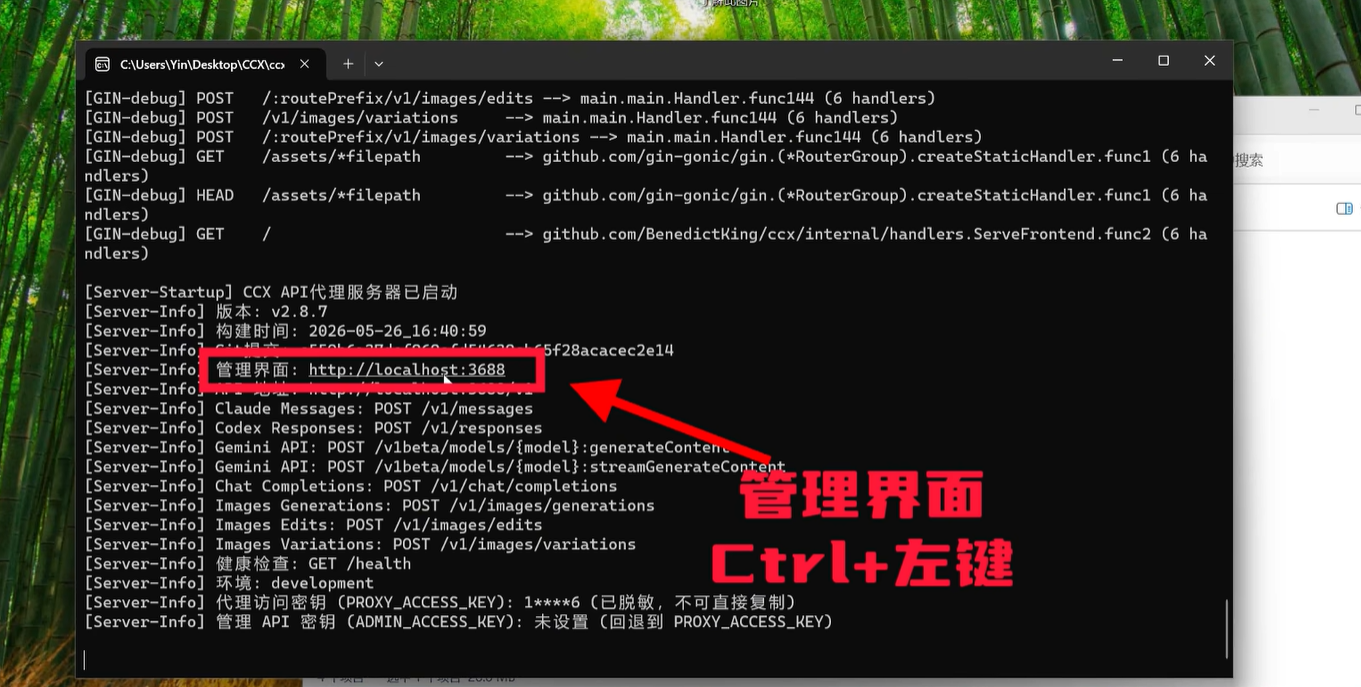 image-20260602185528401